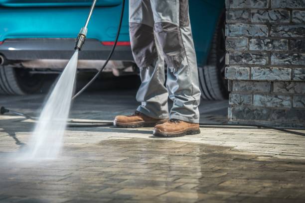 Best Fleet Vehicle Washing  in Pinetop Lakeside, AZ
