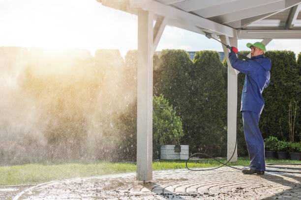 Professional  Pressure Washing Services in Pinetop Lakeside, AZ