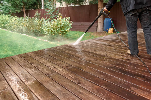 Best Animal Enclosure Cleaning  in Pinetop Lakeside, AZ